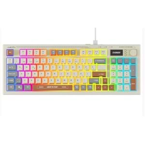 Everest KB-79 SILENT PRO Gri-Gri Mavi-Kahve SESSİZ RGB Q Membrane Oyuncu Klavyesi
