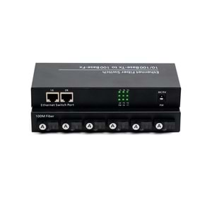 Fiber Optik 6 Port 100 Mbit Fiber Switch (A)